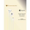 Фото Apple EarPods