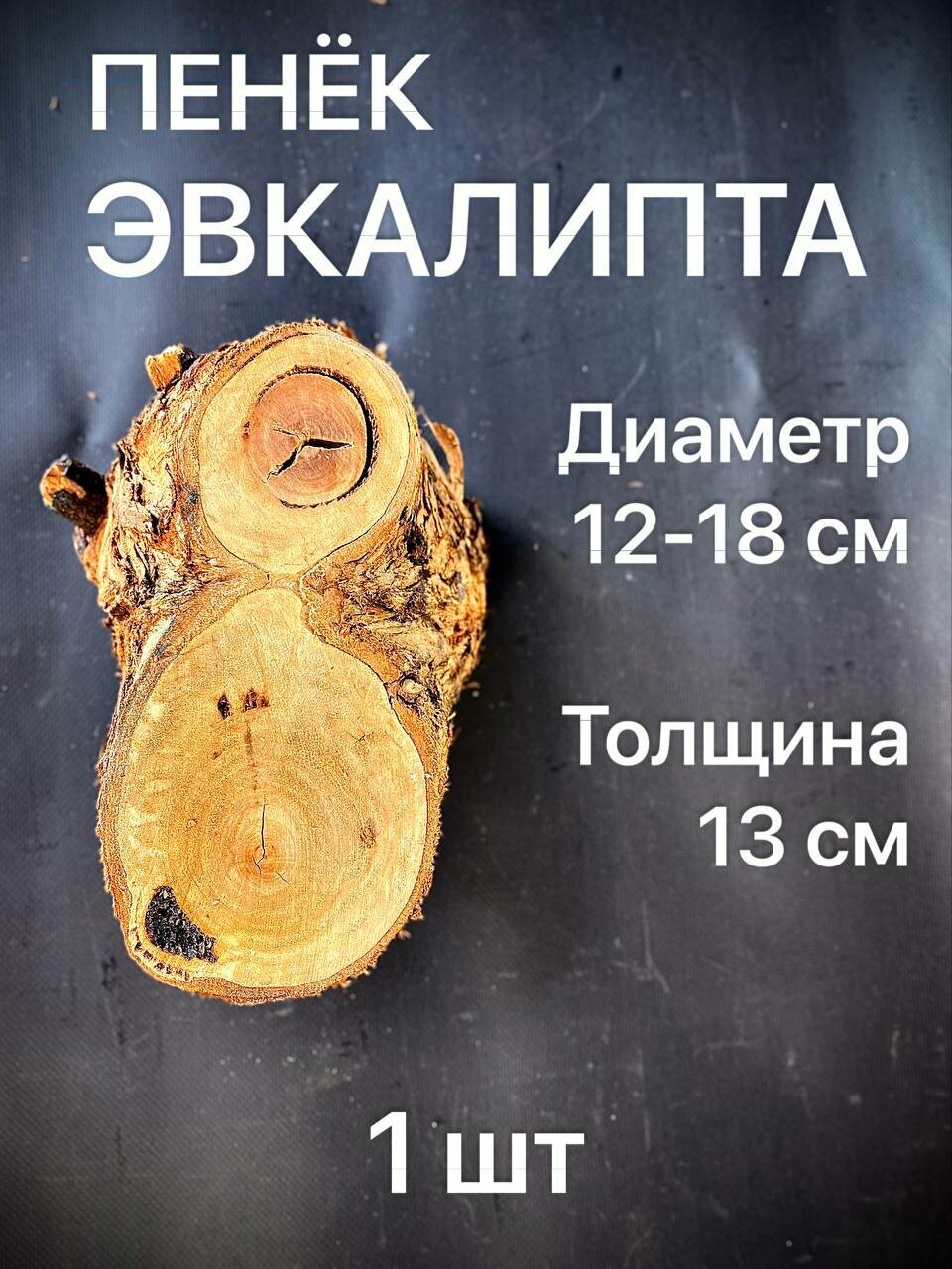 Пенёк Эвкалипта, диаметр 12-18 см, толщина 13 см, 1шт