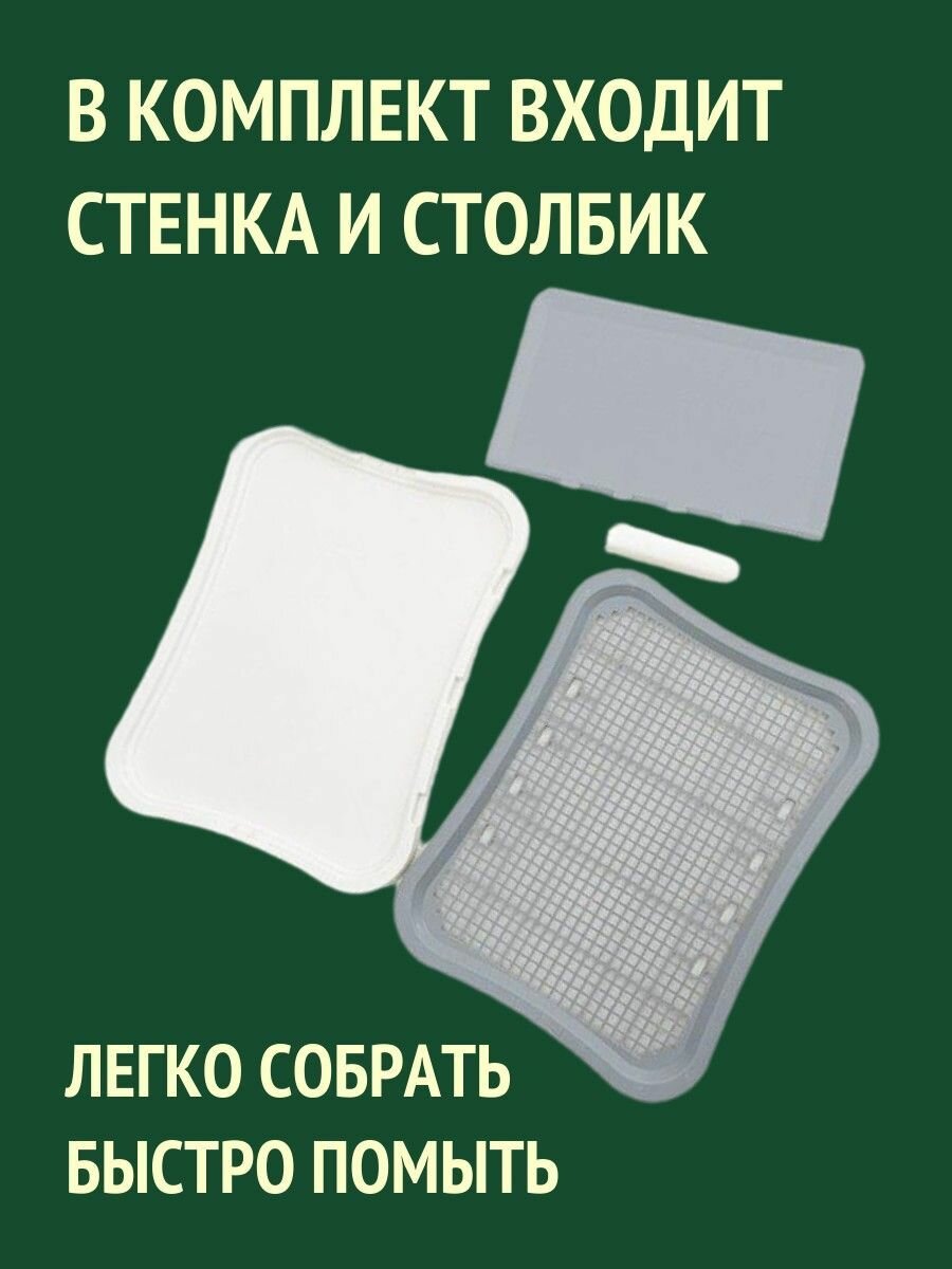 Изображение Туалет для животных