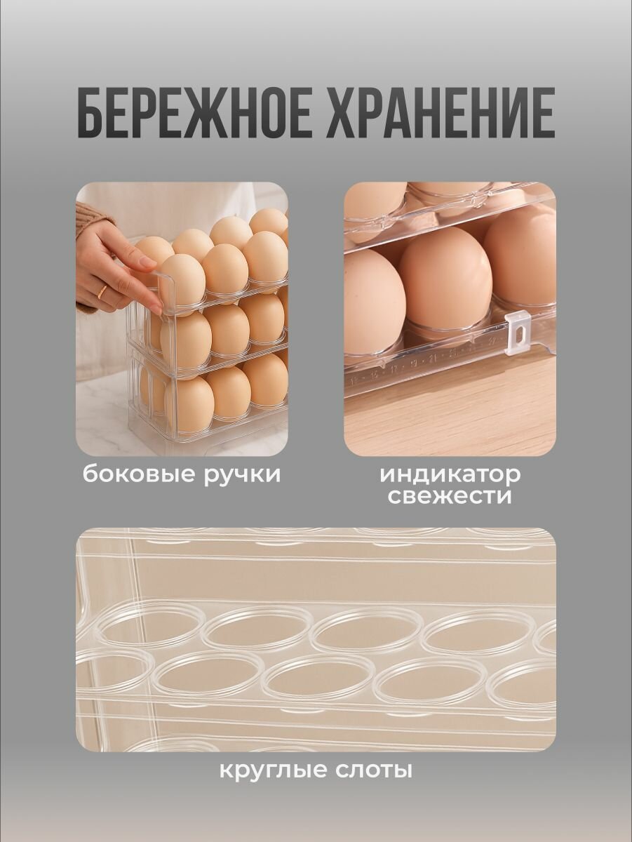 Контейнер для хранения яиц Shiny Kitchen, 30 ячеек, 19.5х25.5 см — фото 1