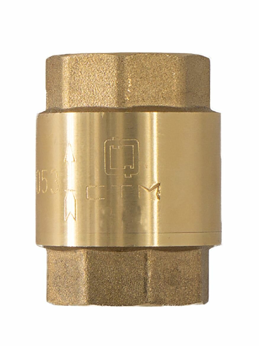 Обратный клапан 3/4" с для воды с пластиковым штоком, пружинный, муфтовый CTM — фото 1