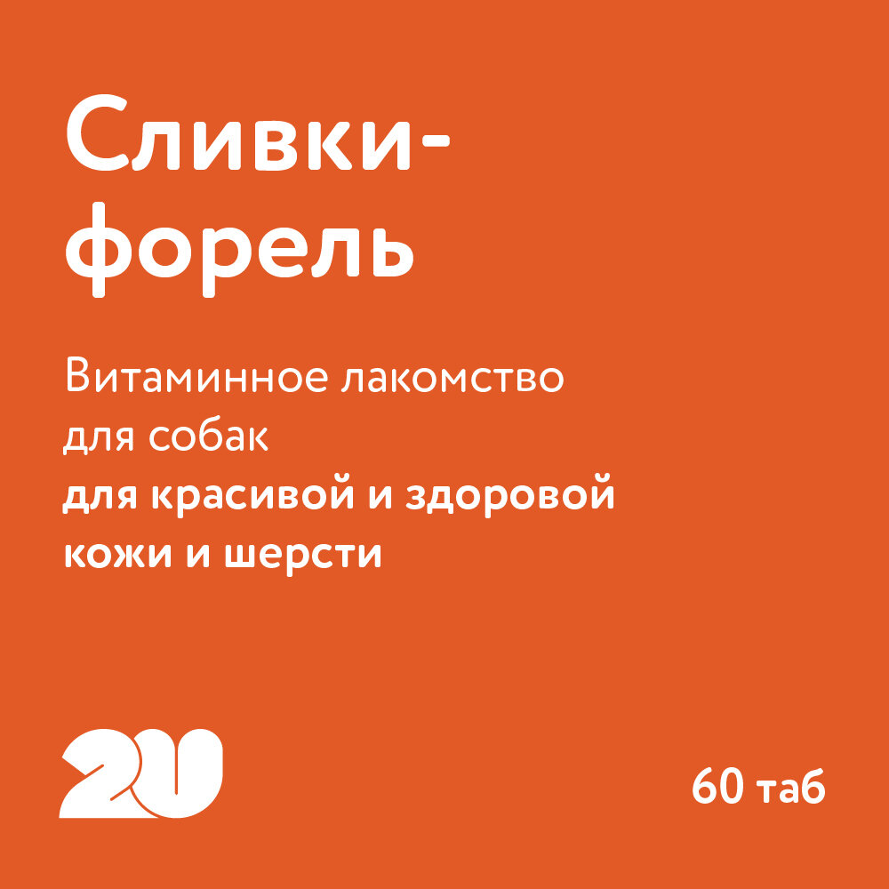 2U Мультивитаминное лакомство для собак для красивой кожи и шерсти с биотином, Doggy's beaty Skin&Coat, 60 шт — фото 1
