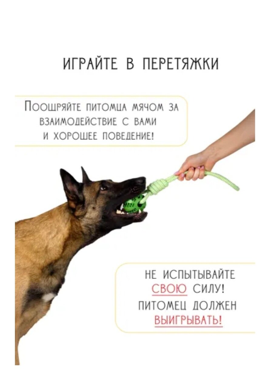 Жевательная Игрушка для Собак "Мячик", Для Чистки Зубов, Зеленый — фото 1