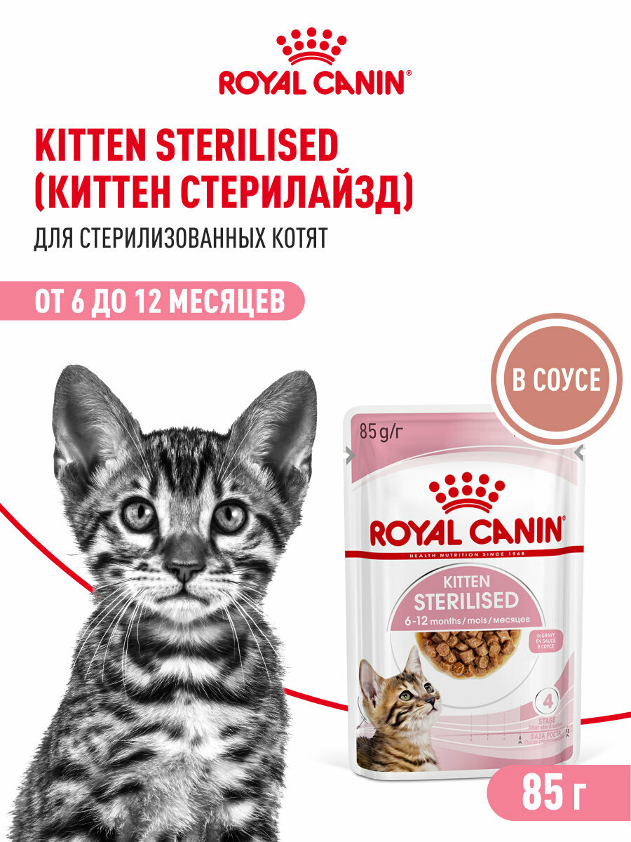 Влажный корм для стерилизованных котят Royal Canin Kitten Sterilised кусочки в соусе, 28 шт по 85 г — фото 1