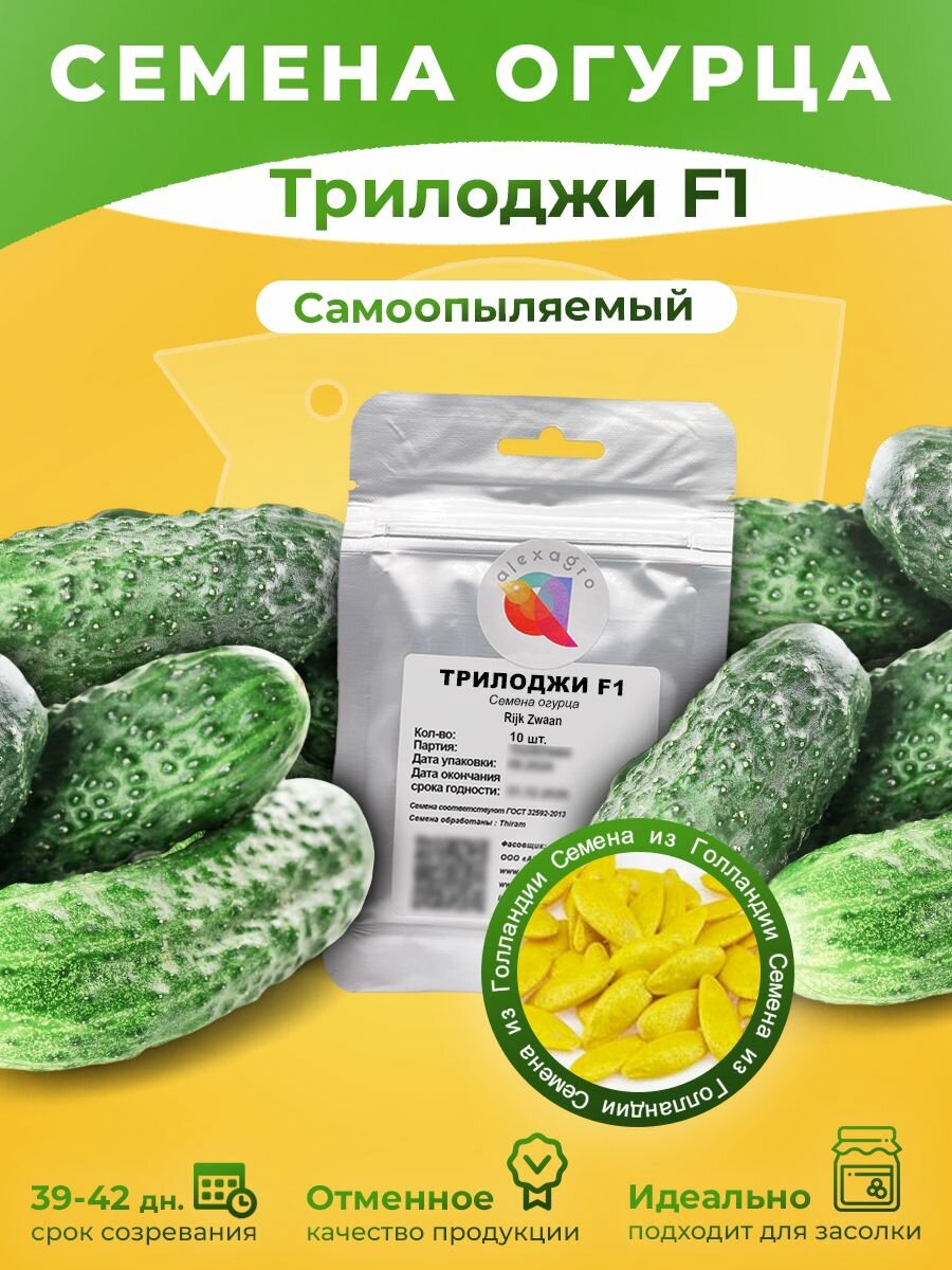 Трилоджи F1 семена огурца партенокарпического 10 семян (Rijk Zwaan / ALEXAGRO). Высокоурожайный ранний гибрид для открытого грунта и пленочных теплиц