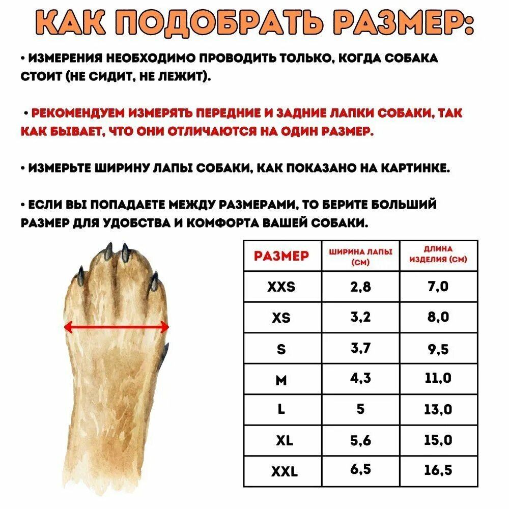 Обувь для собак малого размера черного цвета на сезон, комплект для прогулок и защиты лап — фото 1