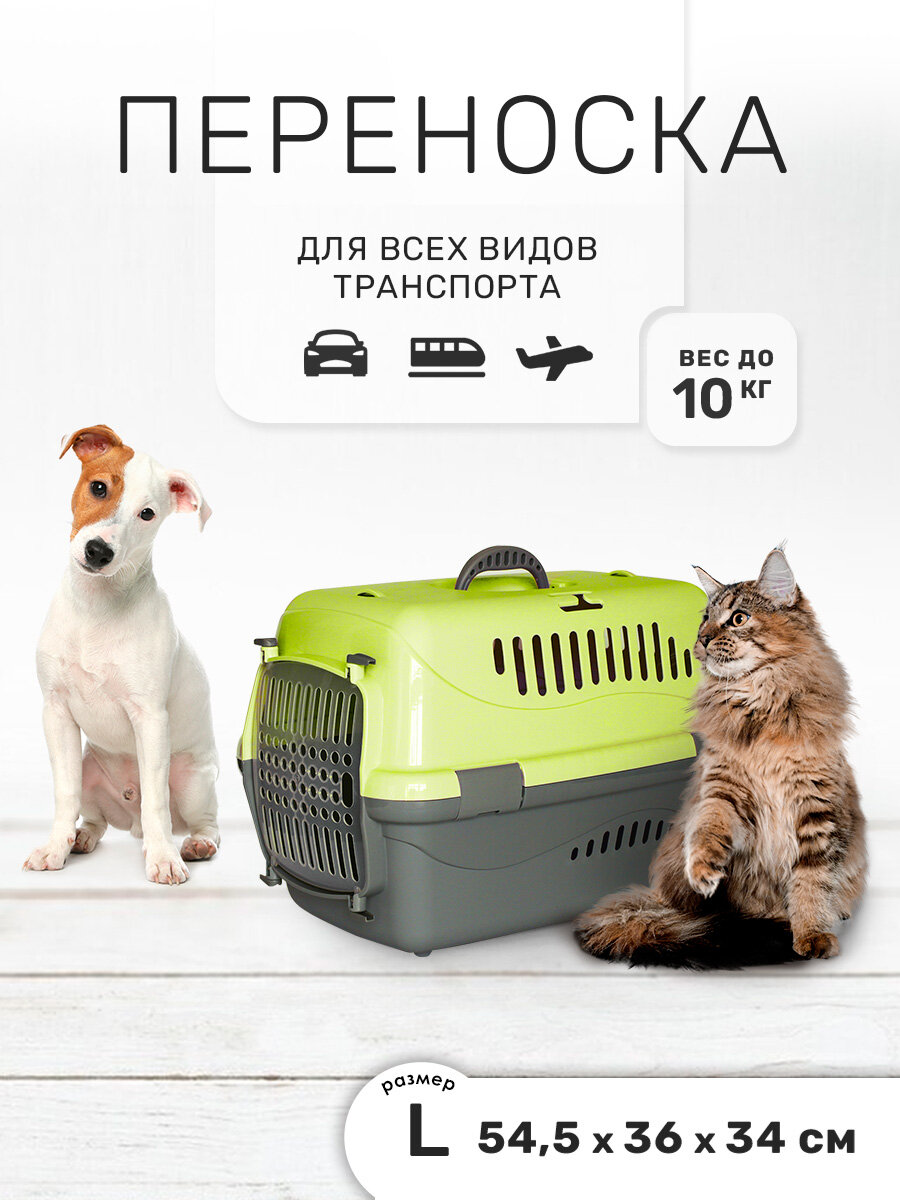 Переноска ZOOexpress Турне для кошек и собак мелких пород, прозрачная пластиковая дверца, 54,5х36х34 см (L), зеленый