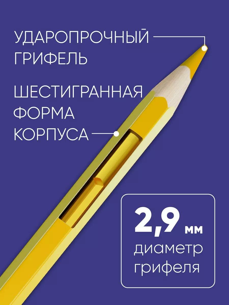 Цветные карандаши "Хобби. Флористика", Гамма, 12 шт, проклеенные грифели, шестигранный корпус — фото 1