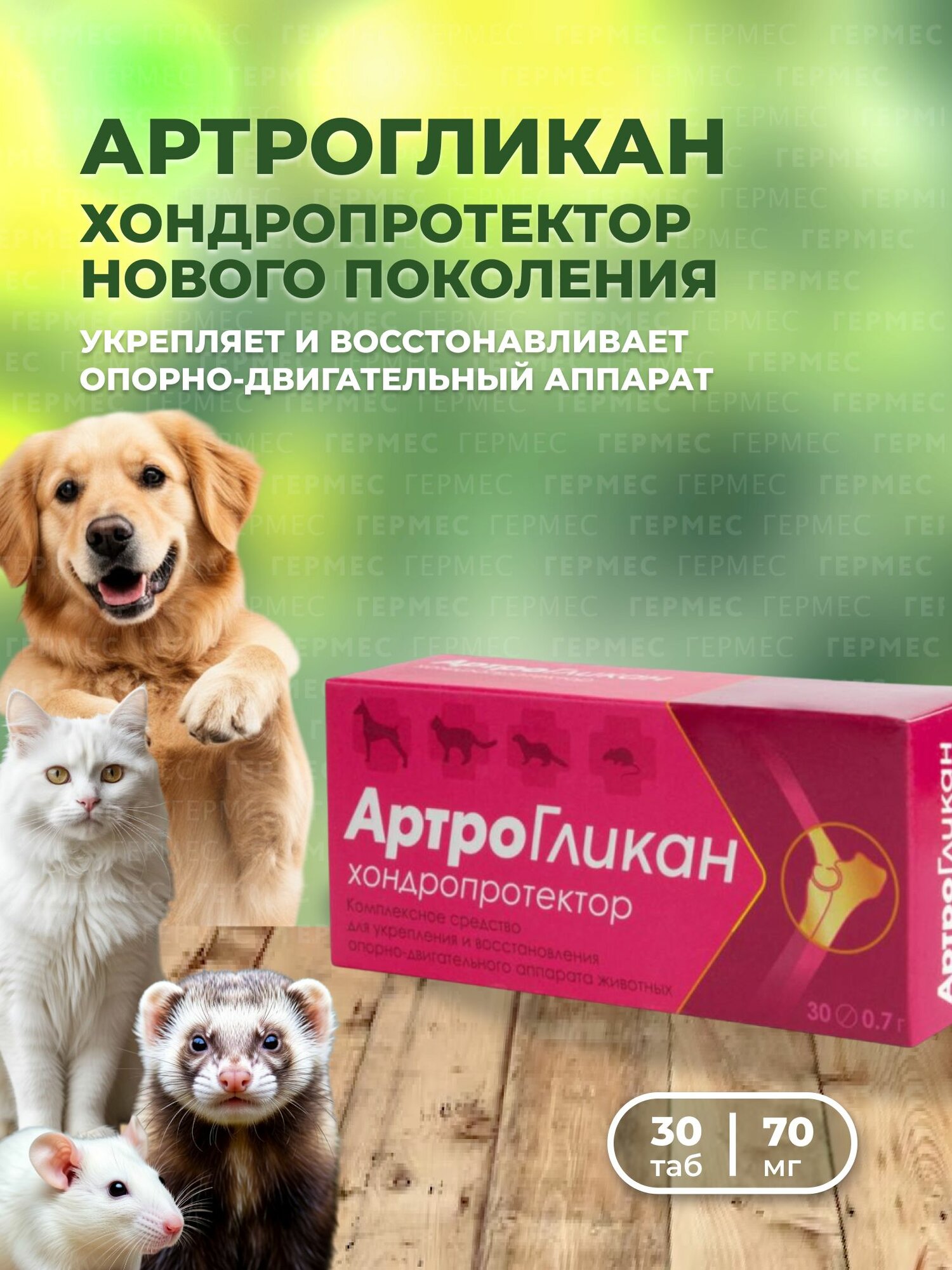 Артрогликан Биоцентр ЧИН для собак и кошек защита суставов 30таб.