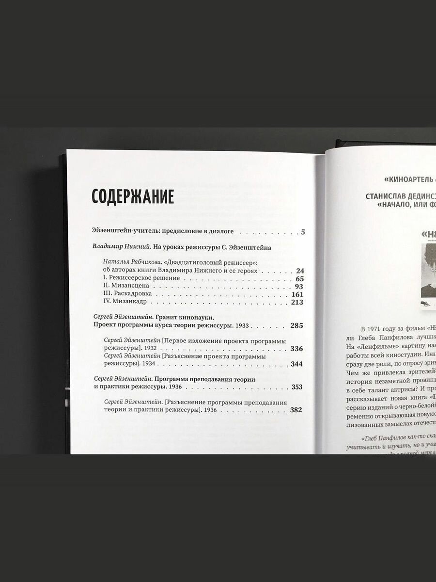 Как стать Эйзенштейном. Краткий курс, Н. Рябчикова — фото 1