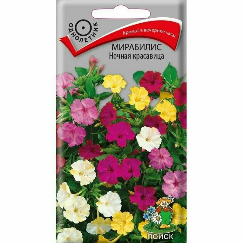 Мирабилис Ночная красавица 25 г Поиск