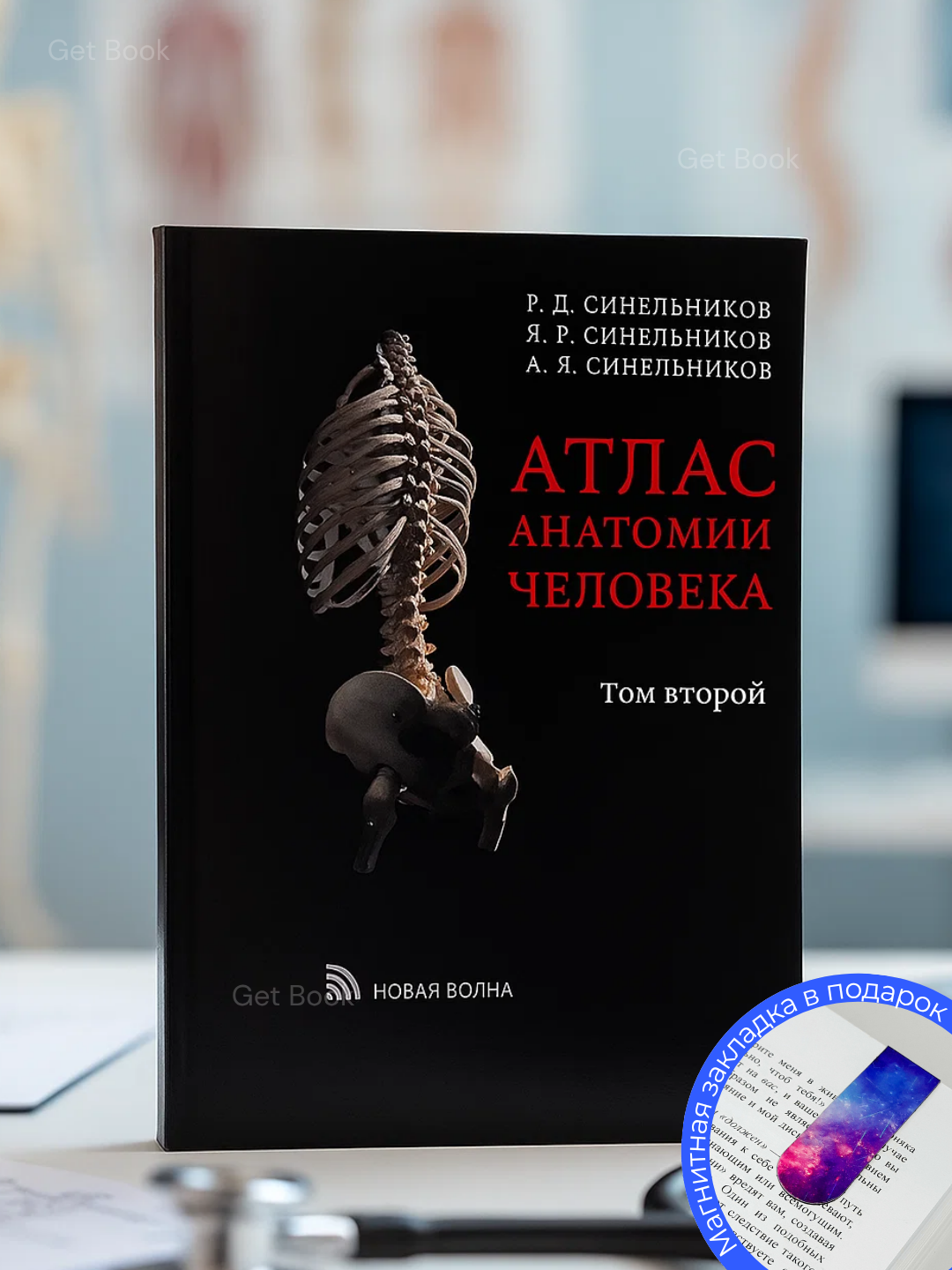 Атлас анатомии Синельников, том 2, мягкий переплет, цветные иллюстрации, 246 стр