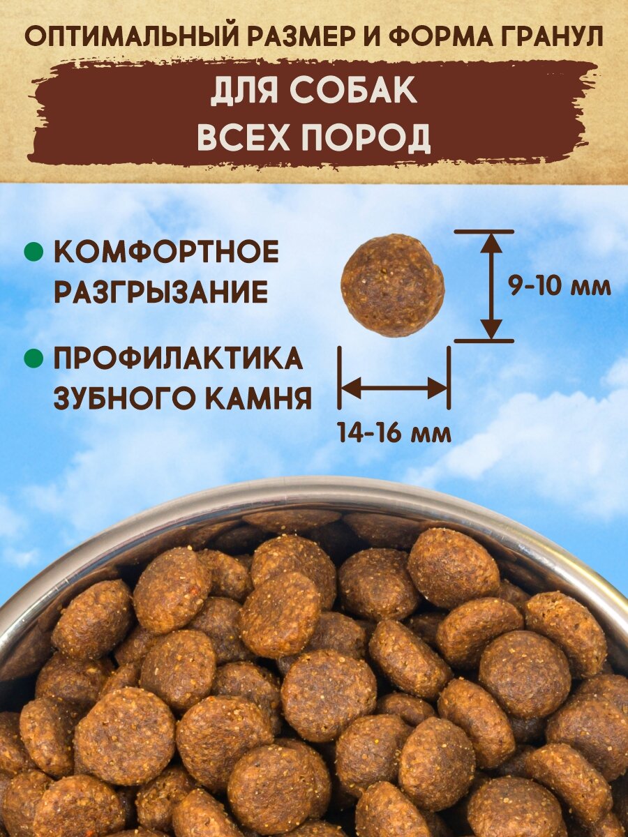Корм сухой для собак всех пород 800 г DEZZIE (Дэззи) Adult Dog, Курица с Говядиной — фото 1