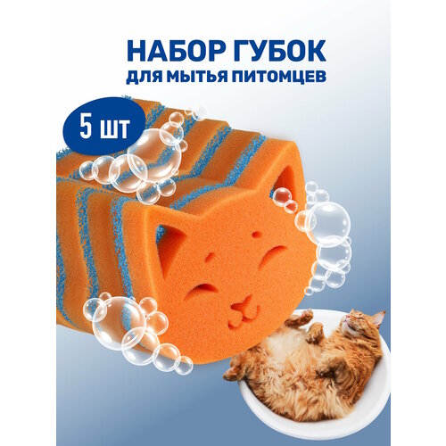 Набор губок для мытья животных / ZOORIK / Зурик / "кошка" 5 шт