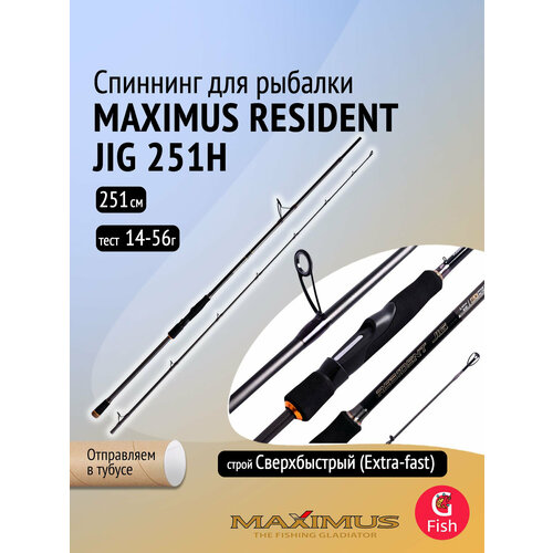 Спиннинг Maximus RESIDENT JIG 251H 2,51m 14-56g