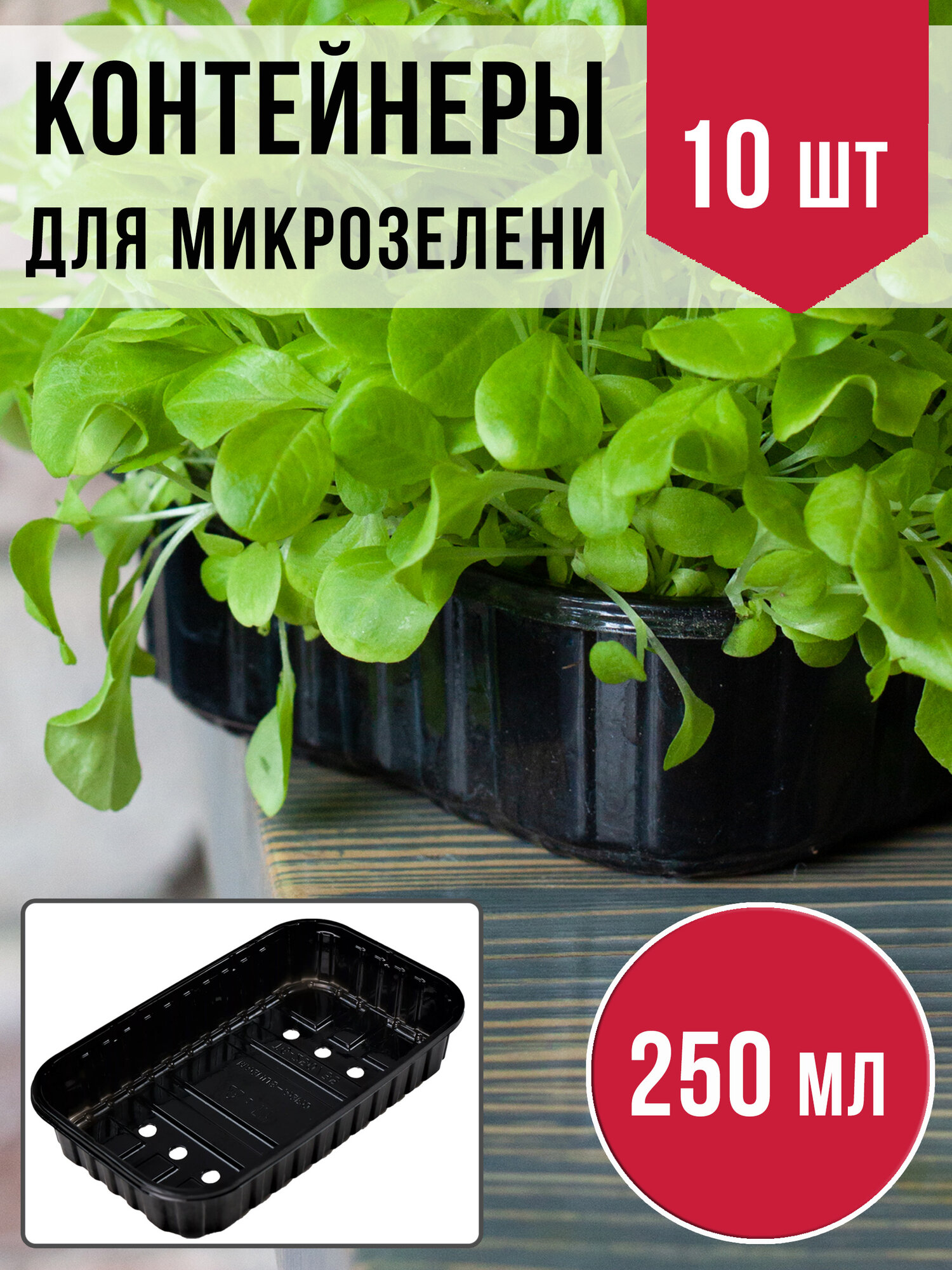 Лотки для микрозелени черного цвета 10 штук, 175*100*35 (дно 165*95), пластиковые контейнеры для проращивания рассады микрозелени, вес 10гр