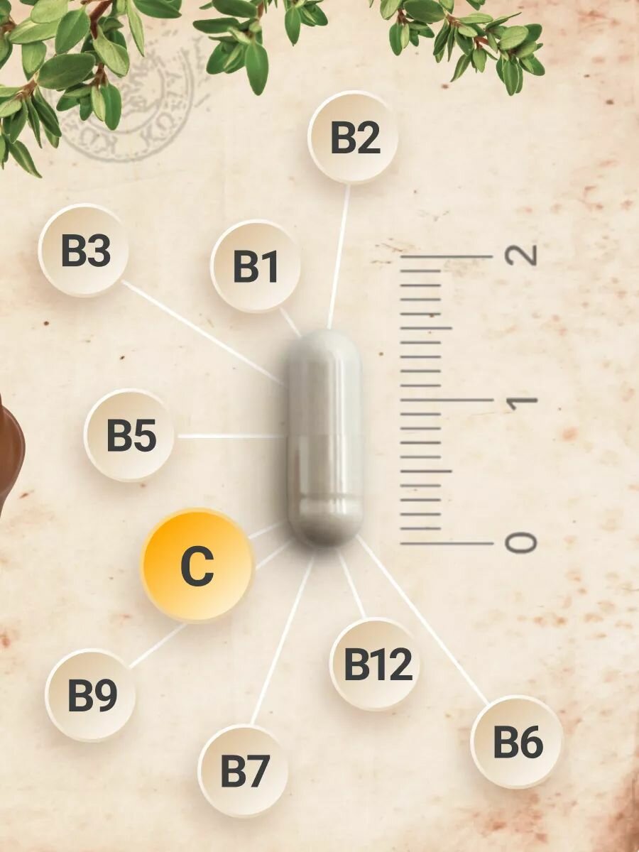 Витамины Группы B MedCraft Комплекс Витаминов группы В + Витамин С для взрослых, для энергии и иммунитета, 60 капсул