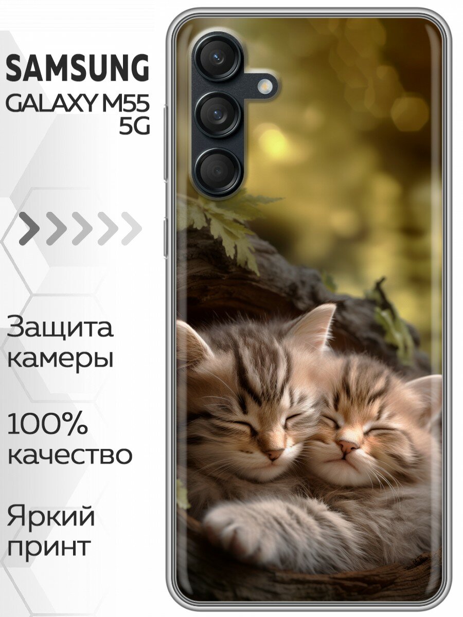 Чехол для Samsung Galaxy M55 с принтом Котята на Самсунг Галакси М55