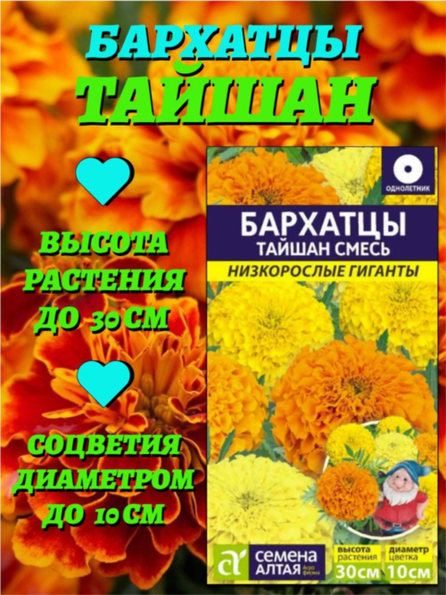 Цветы Бархатцы Тайшан F1 Смесь (5 шт). Низкорослые. Семена Алтая