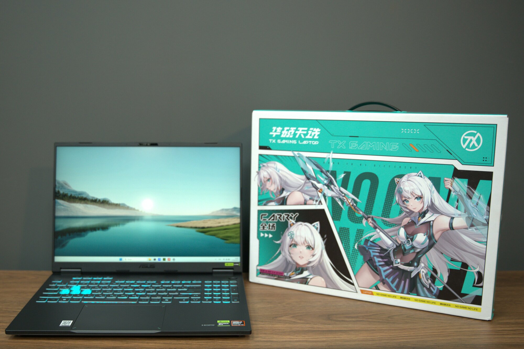 Игровой ноутбук, Asus TUF Gaming 6 PRO, AMD Ryzen 9 8940HX, RTX 5070, RAM 16ГБ, SSD 1ТБ, Серый