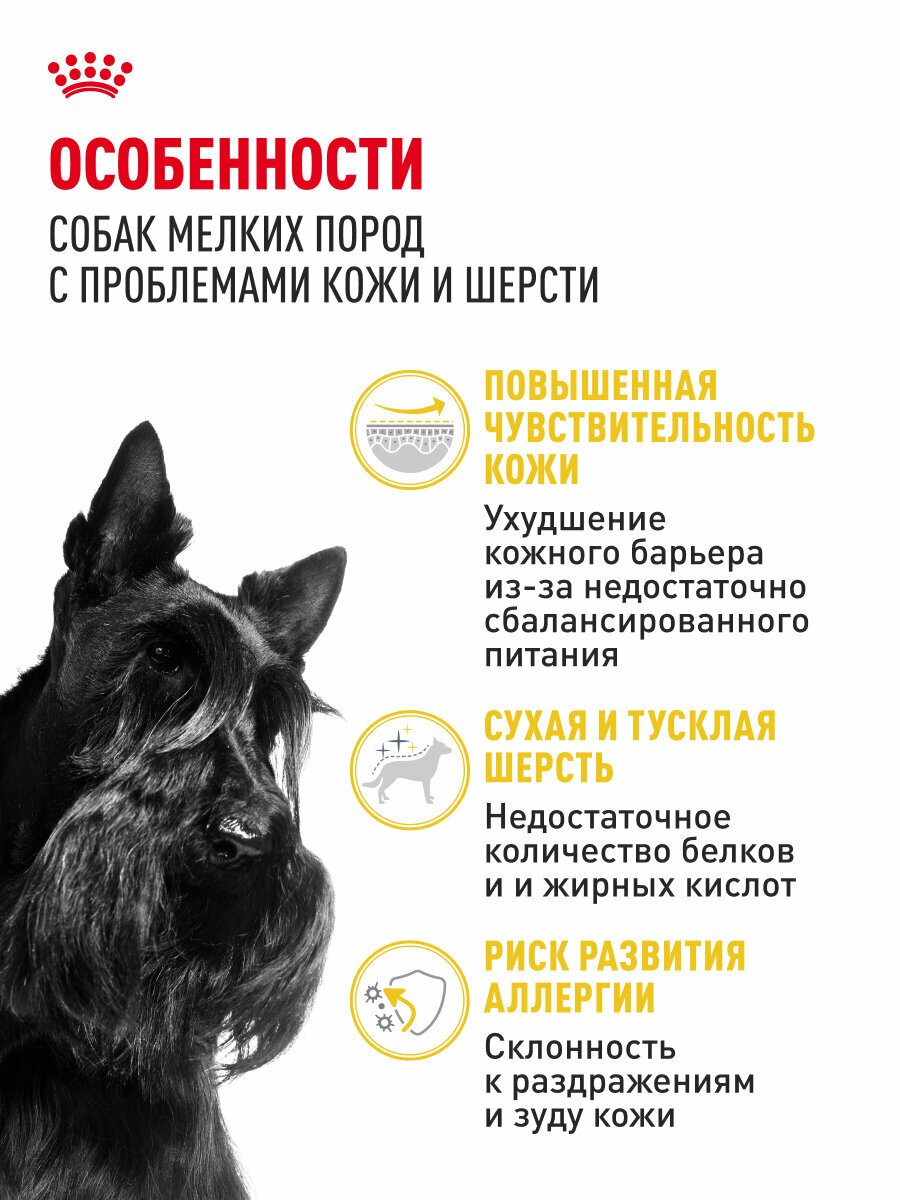Изображение Сухой корм для собак мелких пород Royal Canin Mini Dermacomfort при раздражении и зуде кожи, 3 кг