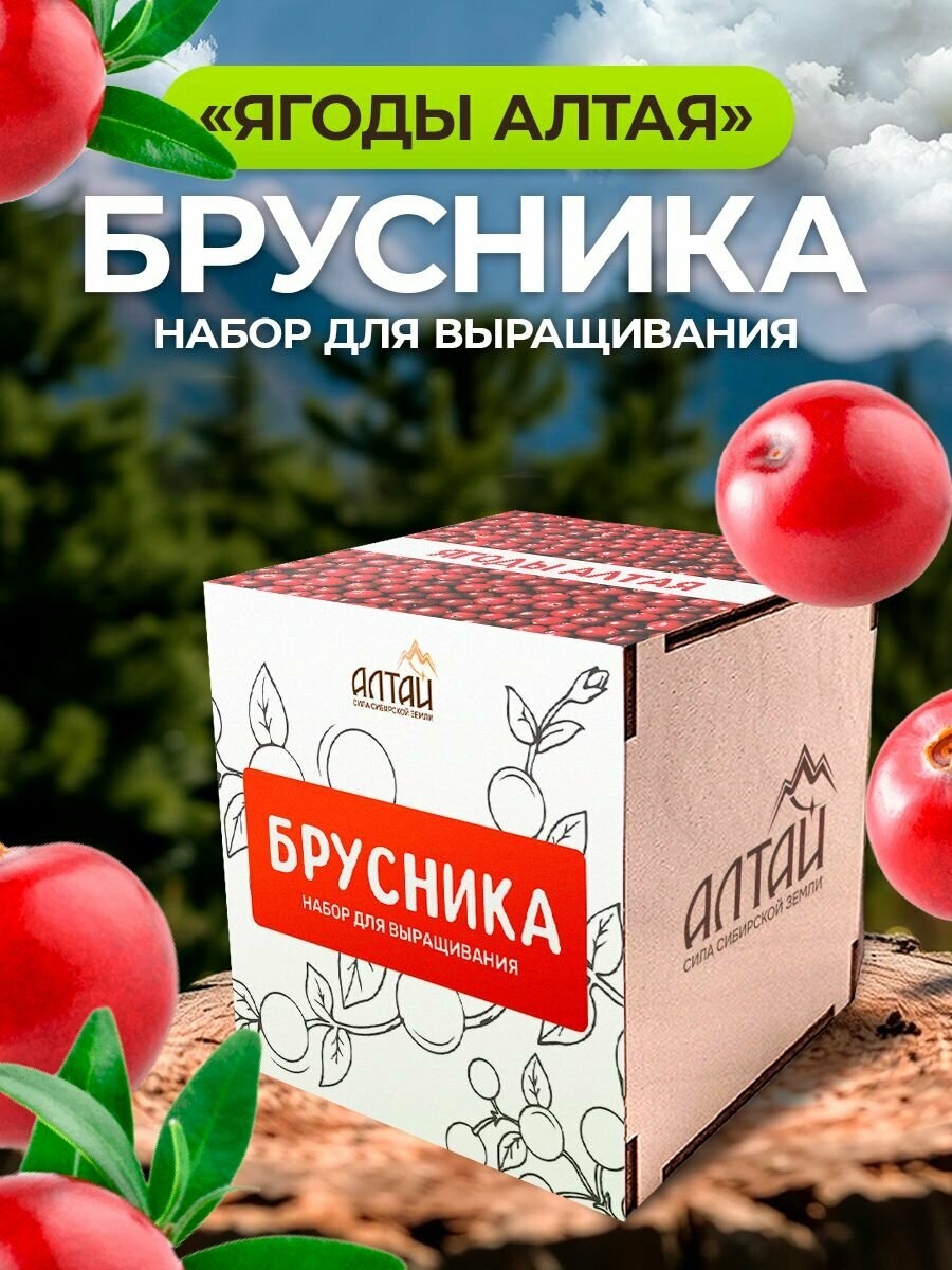 Набор для выращивания растений Сад на окне 