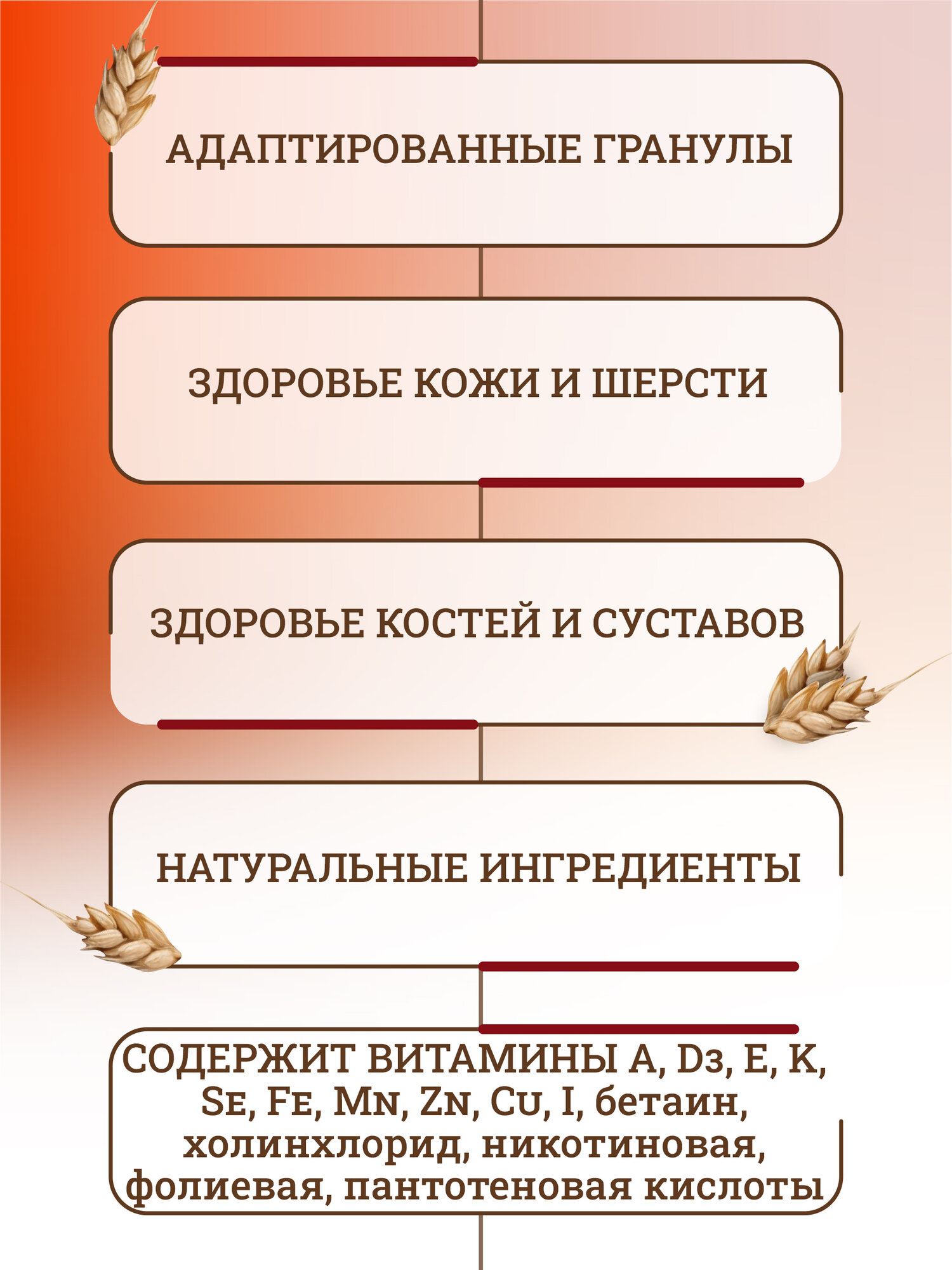 Трапеза Breed Active сухой корм для взрослых собак активных пород с говядиной - 20 кг — фото 1