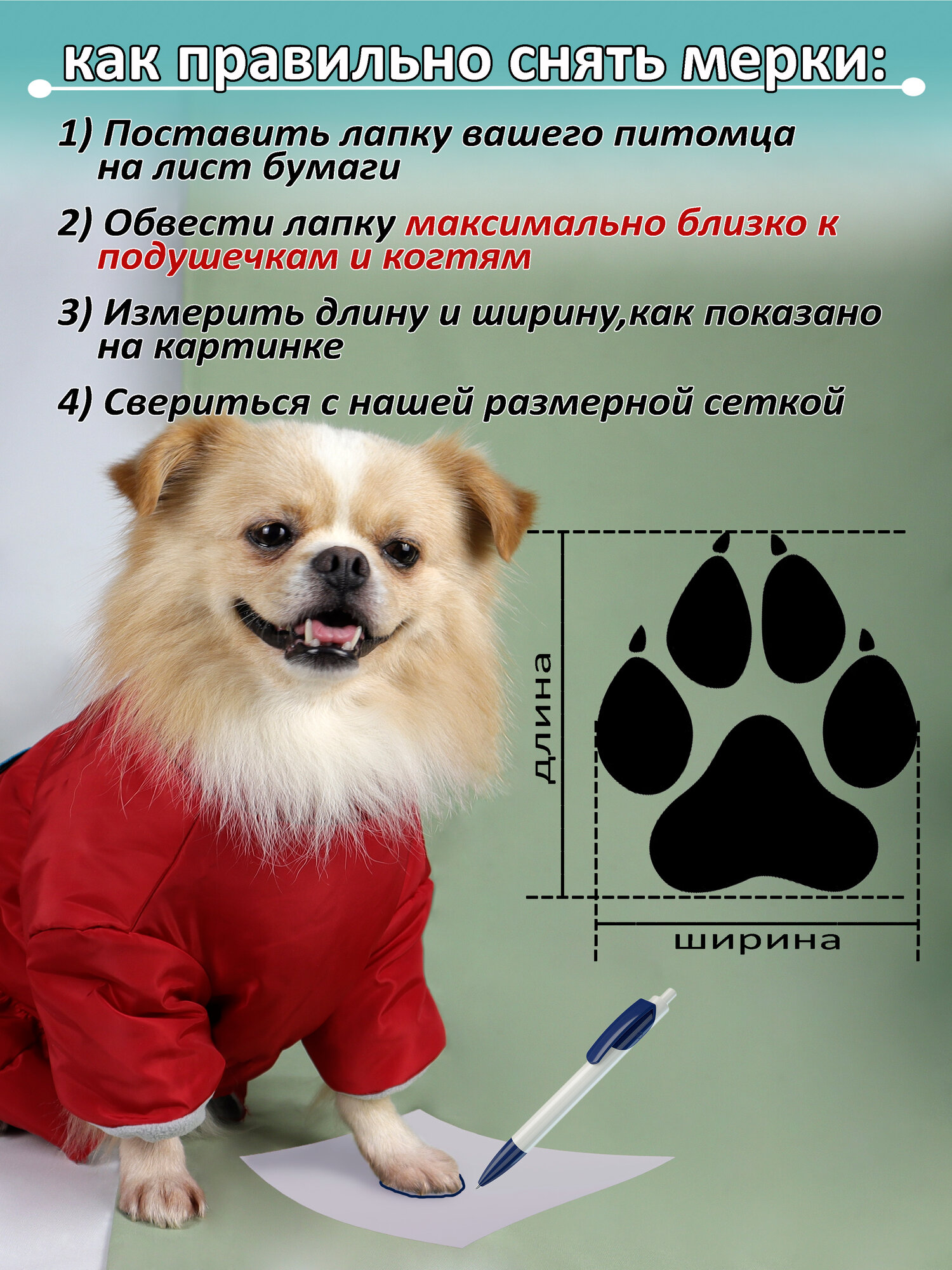 Ботинки Rexy crew "Камуфляж", обувь для собак средних и крупных пород, размер 3XL, цвет голубо-красный — фото 1
