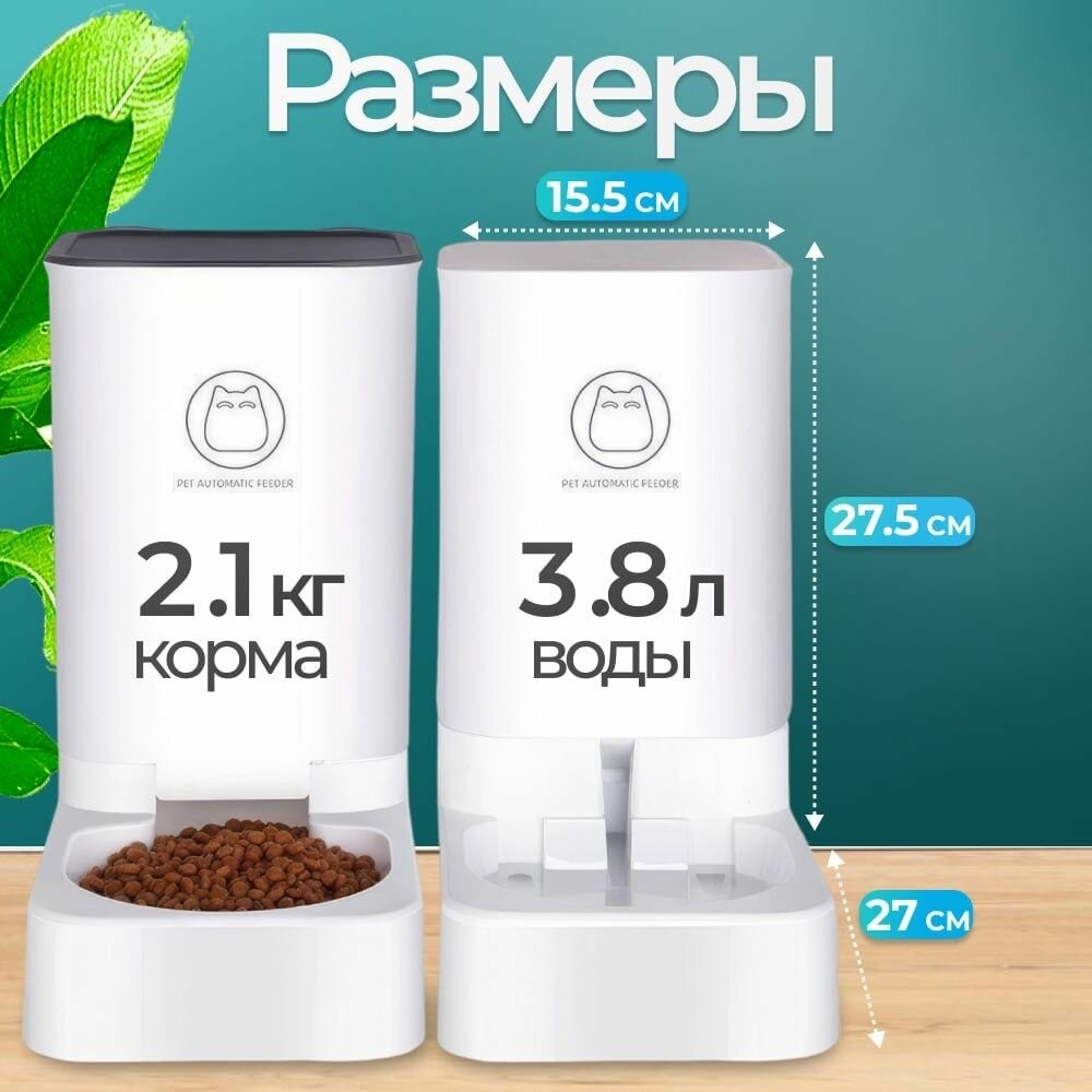 Автокормушка — фото 1