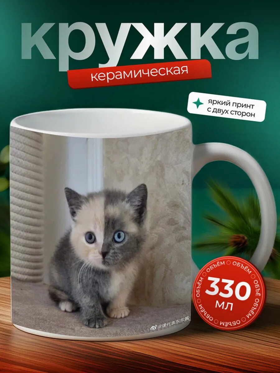 Кружка Белуджистанский пушистик кот 40,