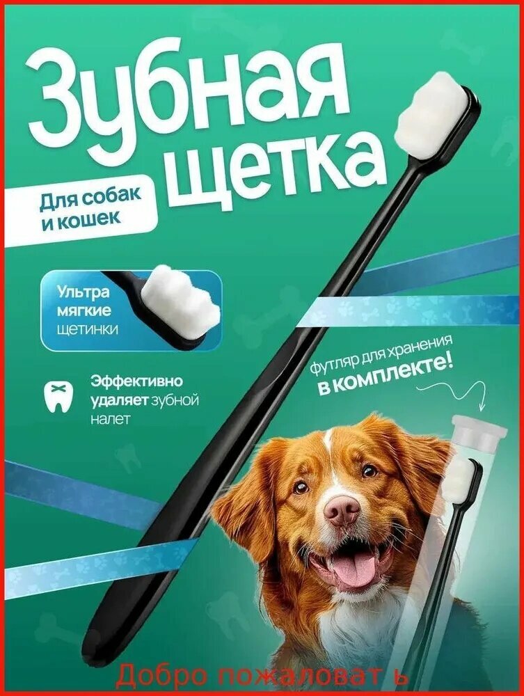 Зубная щетка для животных, Зубная щетка для собак и кошек