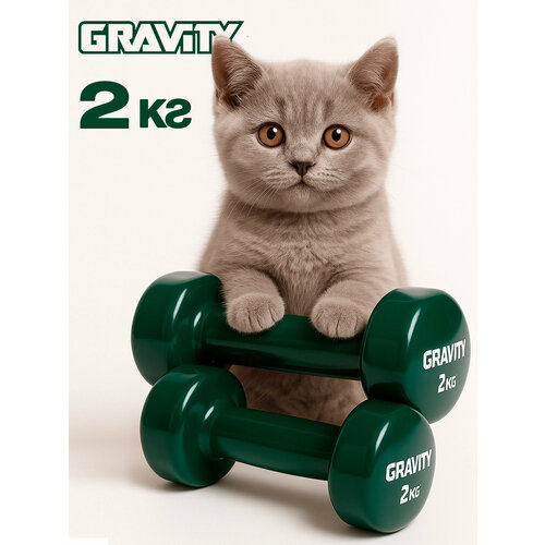 Гантели с виниловым покрытием Gravity, зелёные, 2 кг, пара