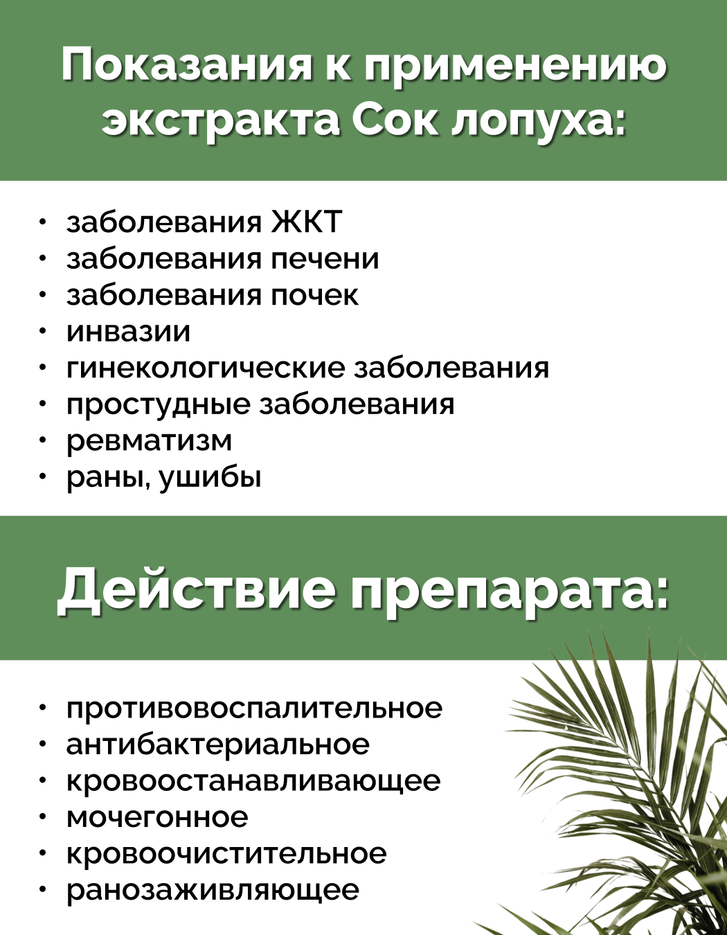 Фитопрепарат "Сок лопуха" (лопуха экстракт), 100 мл, Материа Био Профи Центр — фото 1