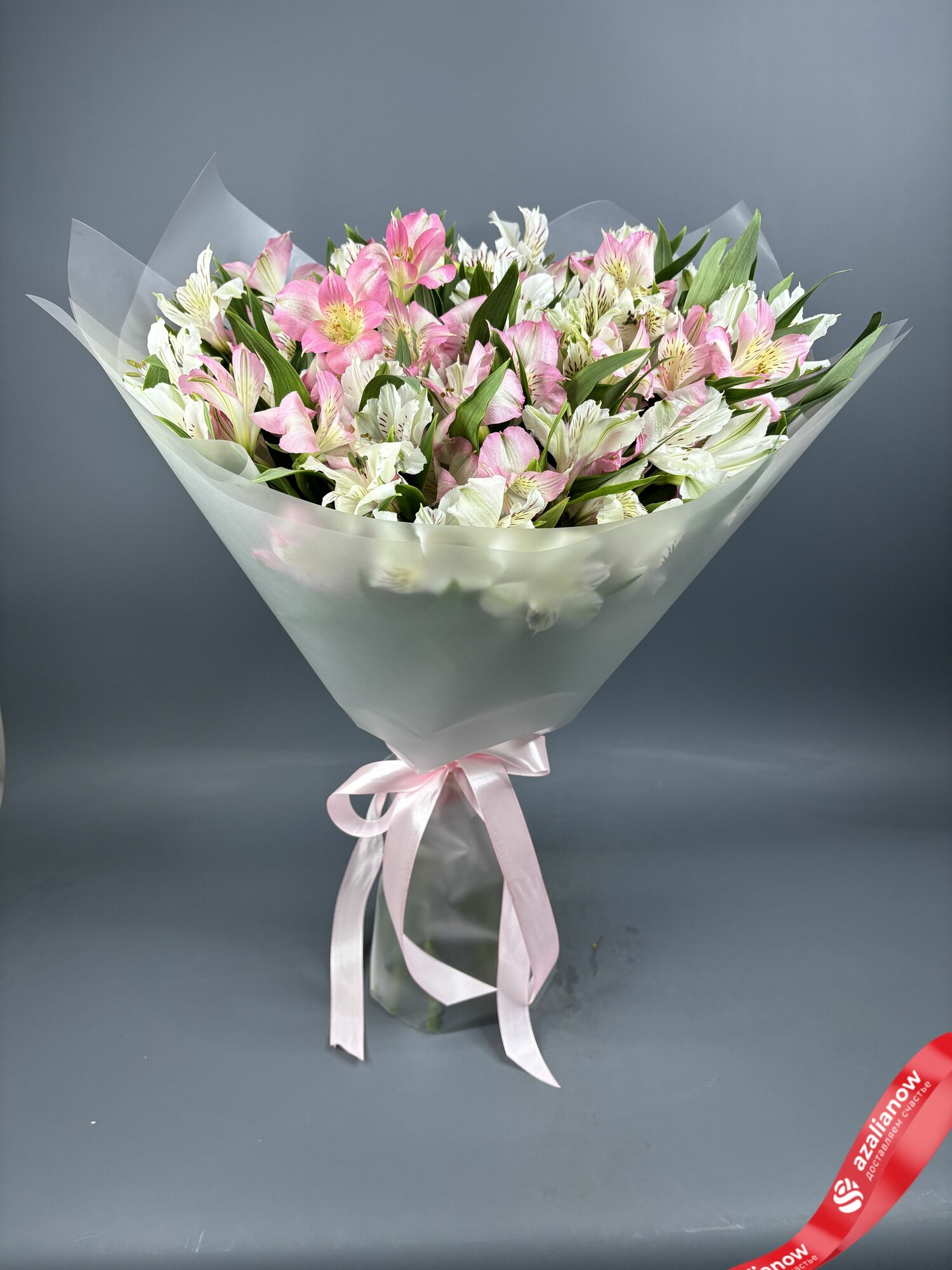 Букет из 25 альстромерий микс в пленке с розовой лентой от АзалияНау