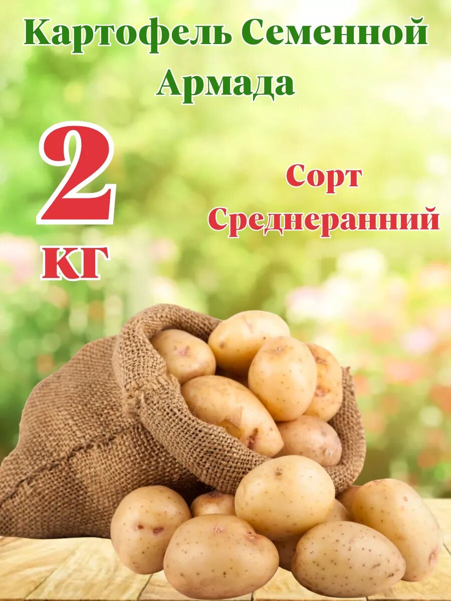 Картофель Семенной Армада 2 кг