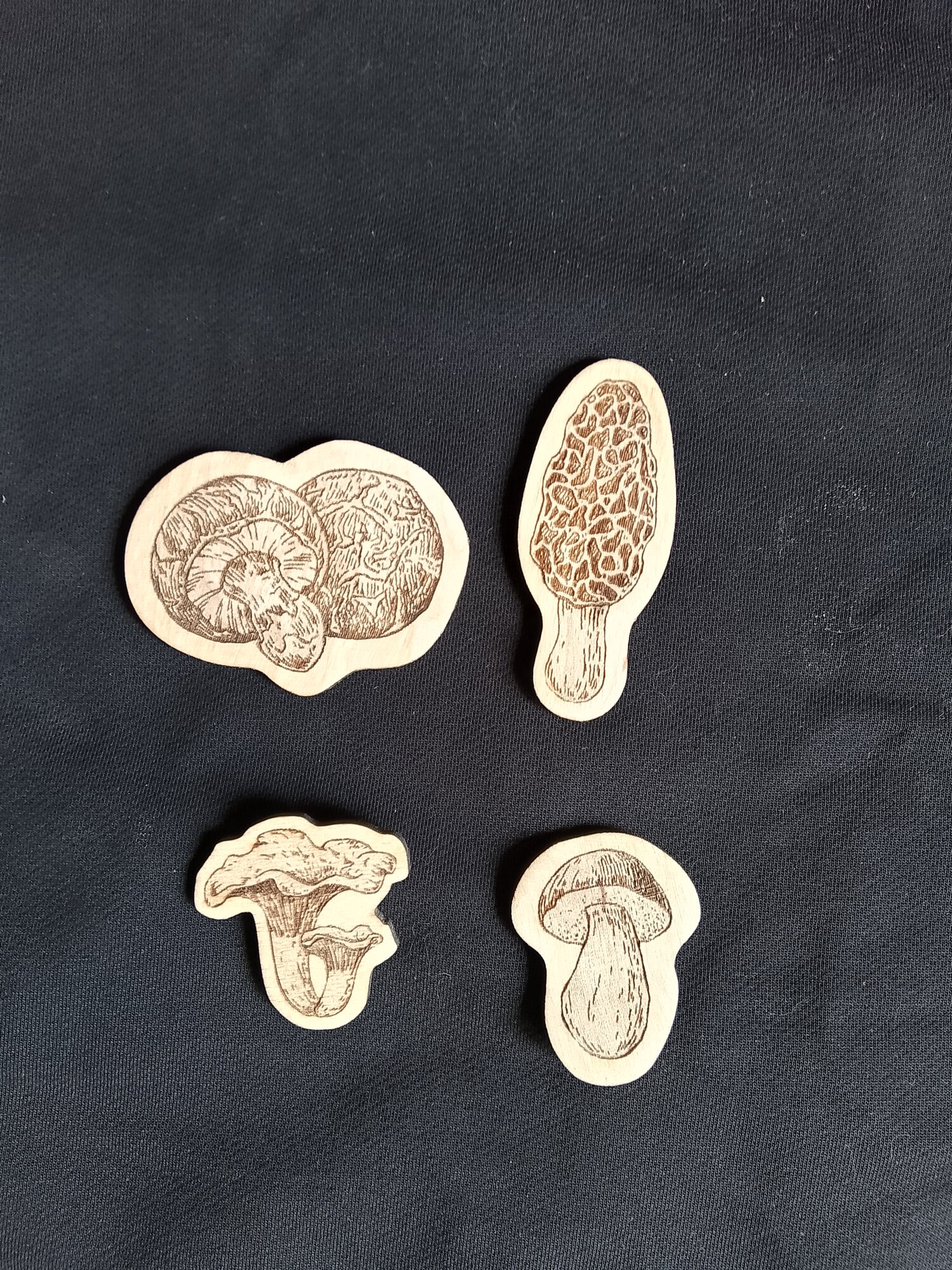 Магнит на холодильник Грибы