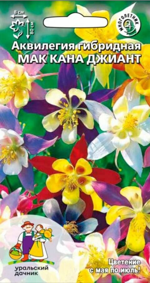 Семена Аквилегия гибридная Мак Кана Джиант Уральский Дачник