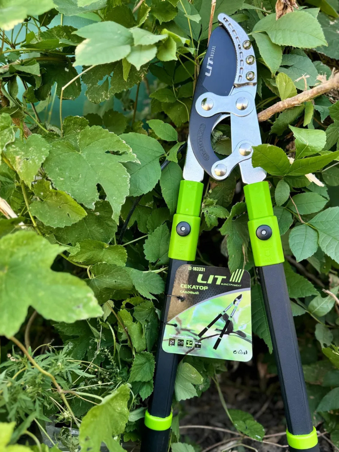 Садовые ножницы, для фигурной стрижки деревьев и кустарников