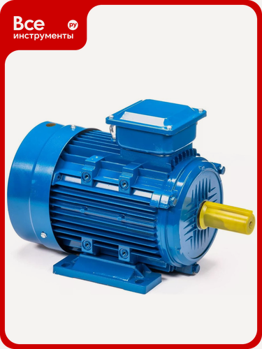 Изображение товара Электродвигатель 5АИ 100 S2 4/3000 IM 1081 01.01.213555, продолжительных работ, со смазкой