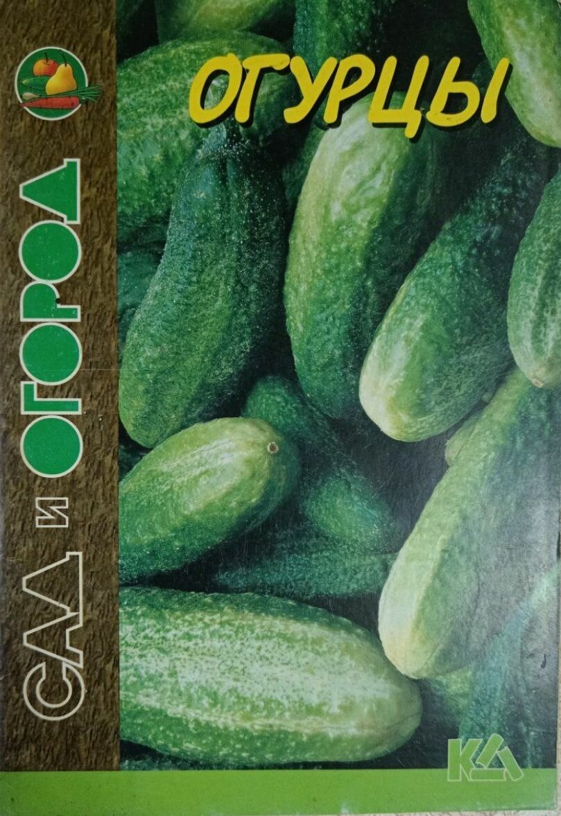 Огурцы