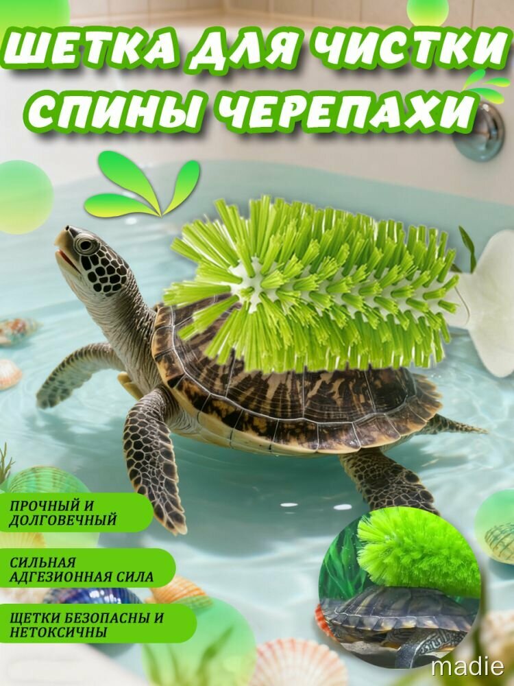 Щетка для черепах с присоской madie — зеленая, с强力 присоской для чистки панциря, для домашних рептилий, с удобной ручкой