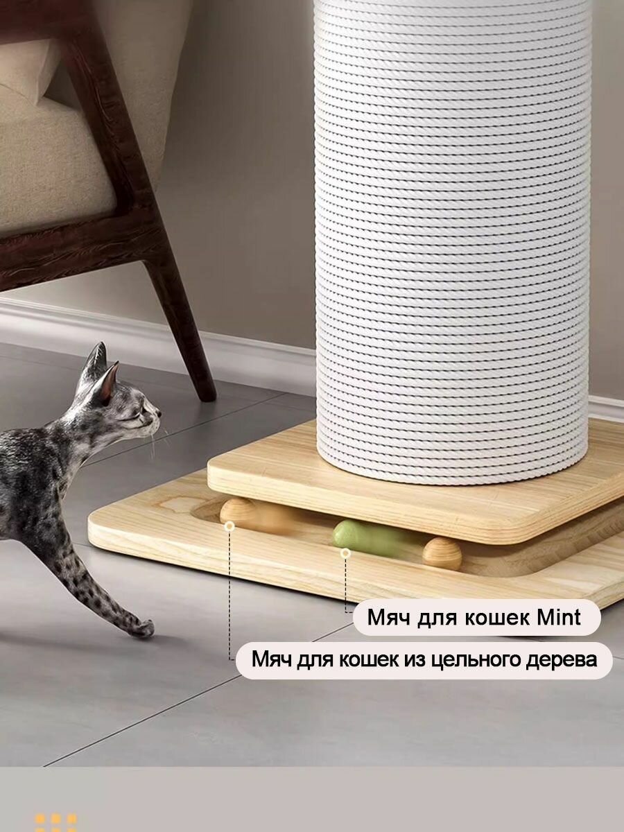 Когтеточка — фото 1