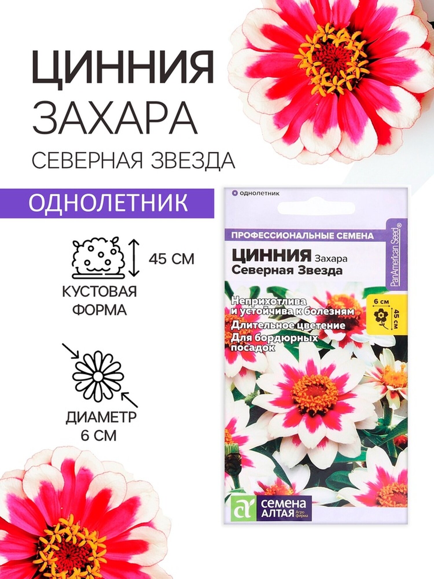 Семена Циннии Семена Алтая "Северная звезда" Захара однолетние 5 шт