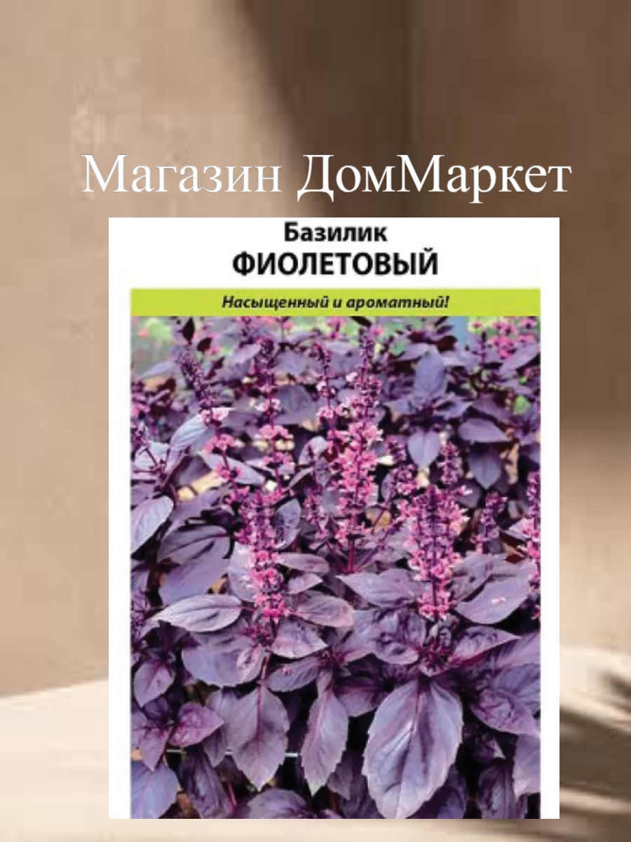 Базилик Фиолетовый Семена пряностей и трав Семена Базилика Фиолетового