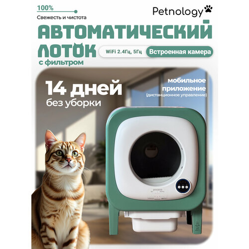 зеленый, зеленый, белый