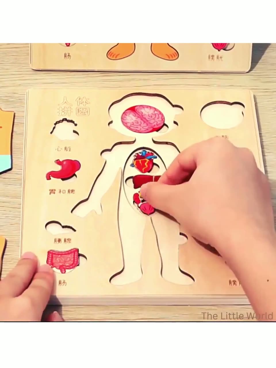 Пазлы для детей, деревянные развивающие игрушки, анатомия — фото 1