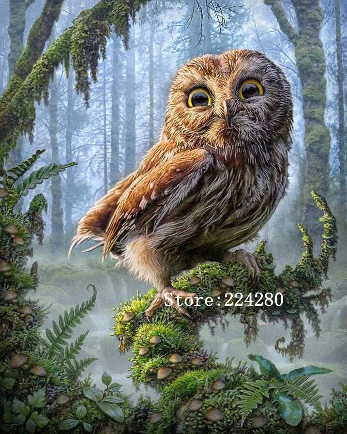Набор для вышивания крестом сова, 11CT Canvas Print