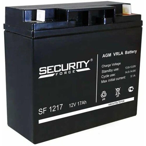 Аккумулятор Security Force SF 12100