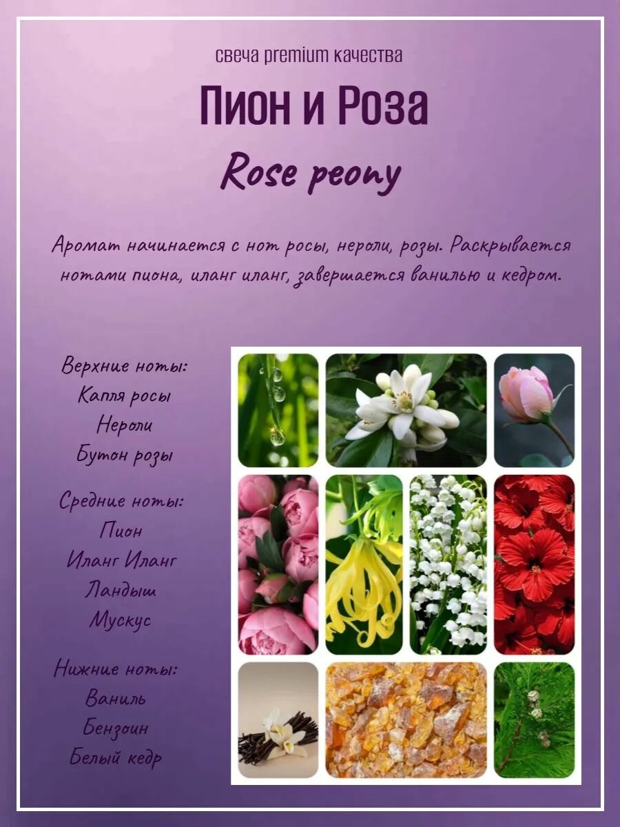 Аромасвеча M в кокосе Rose and Peony — фото 1