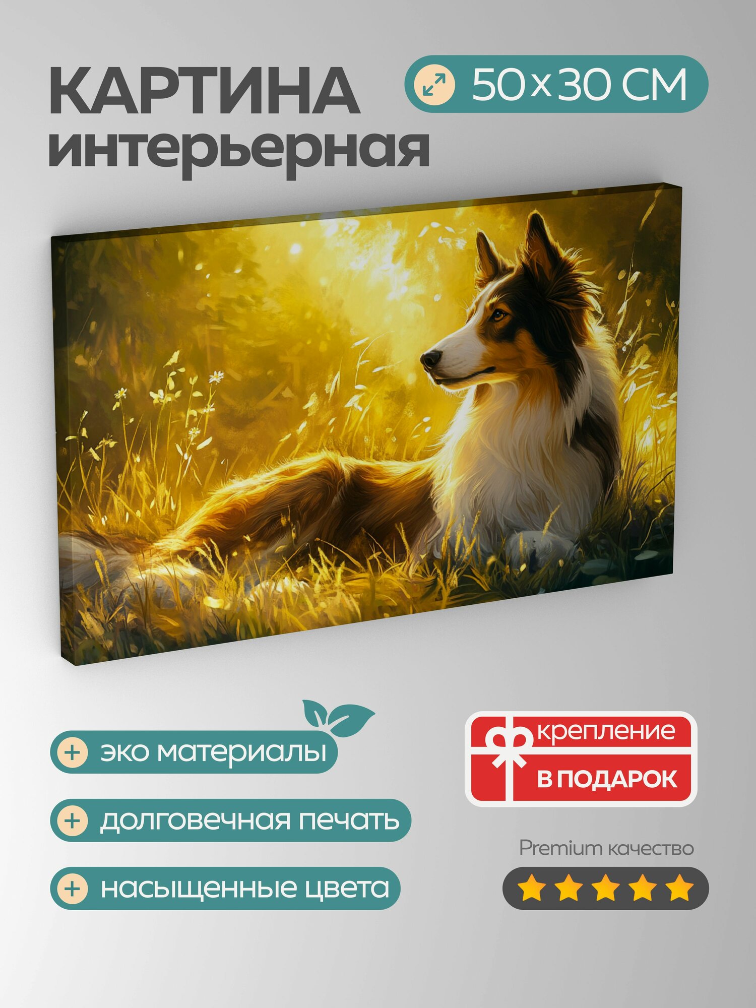 Картина на холсте интерьерная 50х30 см, колли, луг, солнечный свет, безмятежность, отдых, тишина, величественный